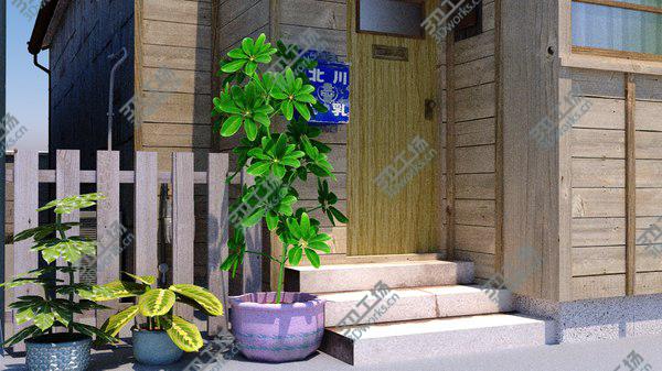 images/goods_img/20210312/3D Japanese Little House/5.jpg